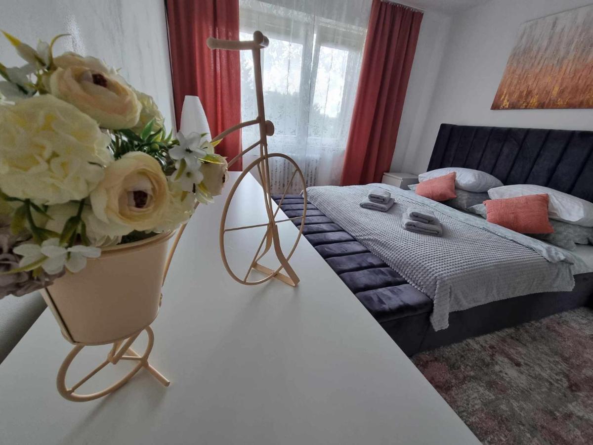 Prostorny Byt V Centru U Reky, 2 Loznice, Balkon Hradec Králové Kültér fotó