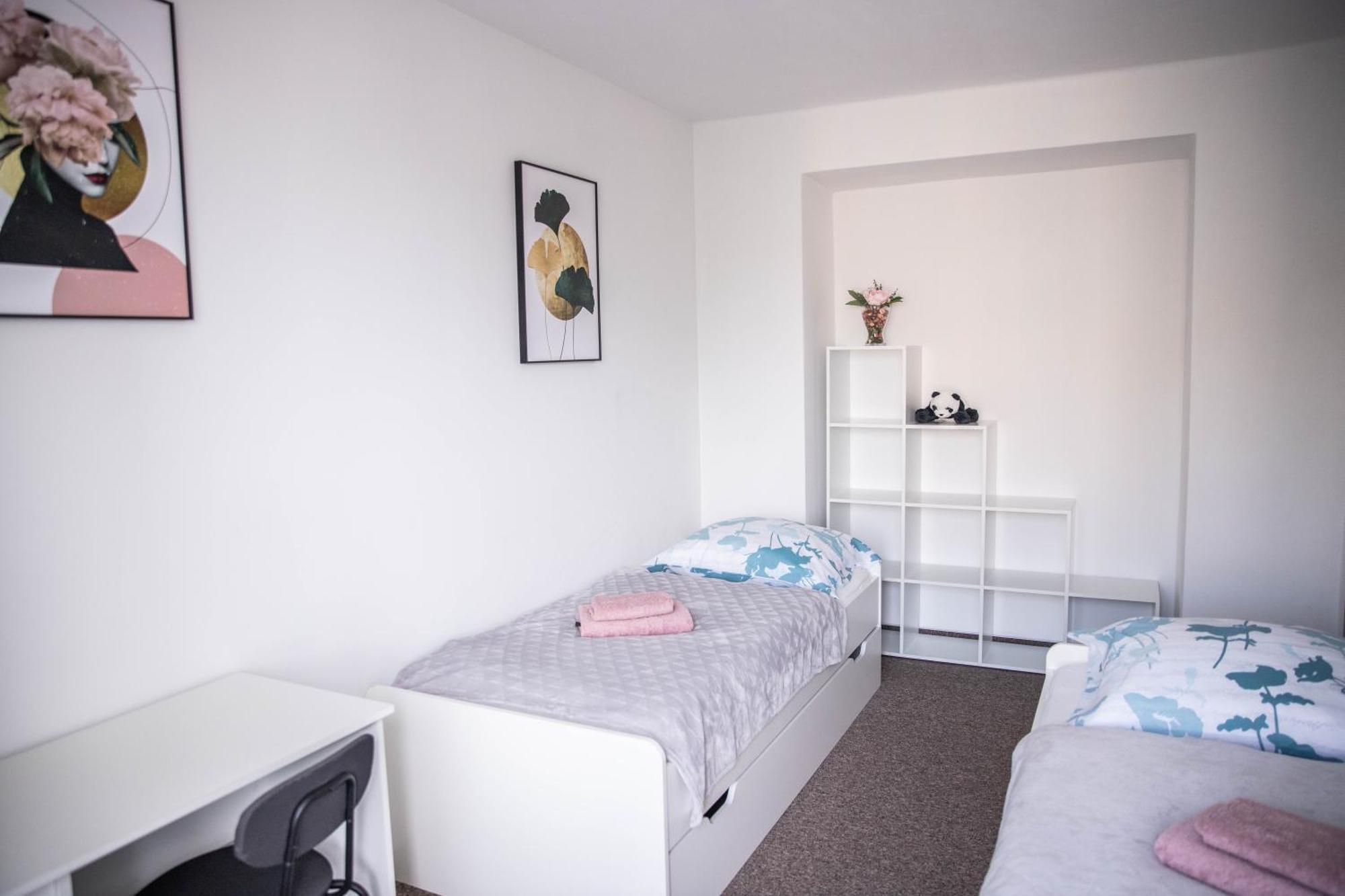 Prostorny Byt V Centru U Reky, 2 Loznice, Balkon Hradec Králové Kültér fotó